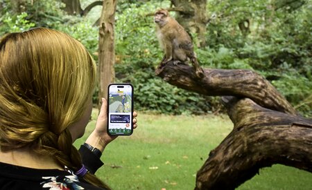UK animal park Trentham Monkey Forest reveals new visitor app